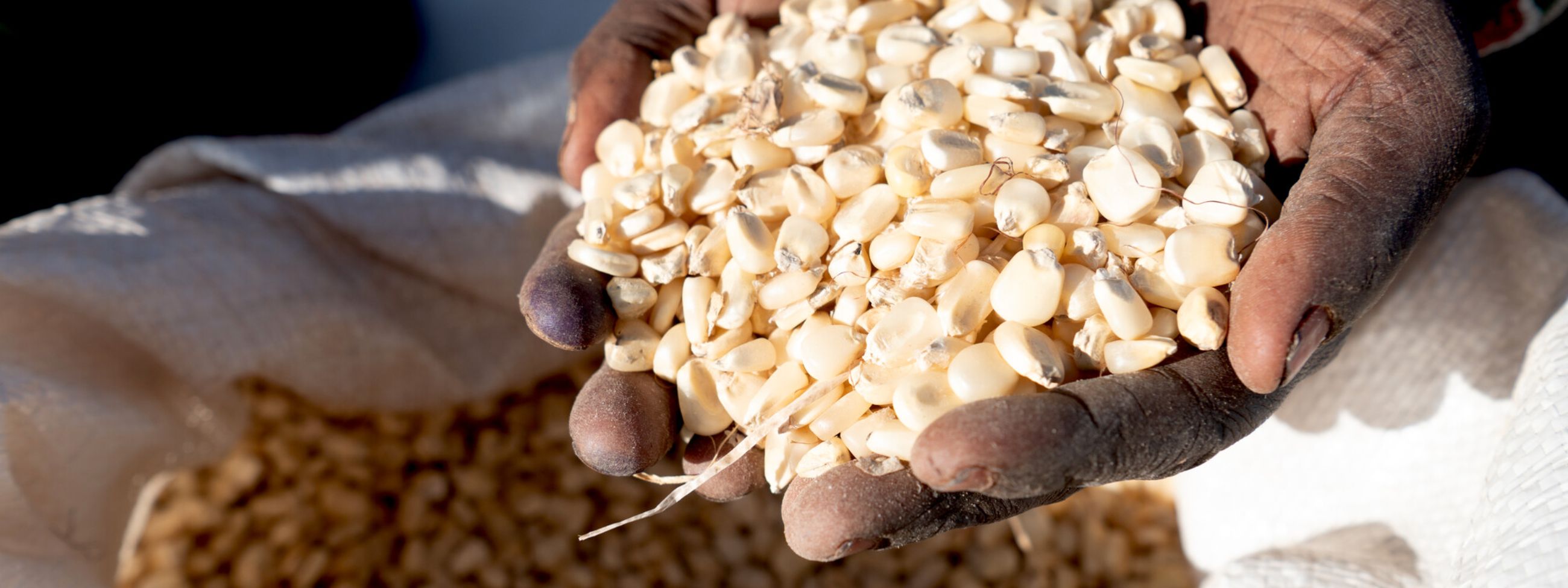 Families affected by the severe drought receive essential supplies from CBM and its partner OSHO, including maize, beans, and oil bottles at a distribution centre in Dire Woreda, Borena Zone, Ethiopia. 