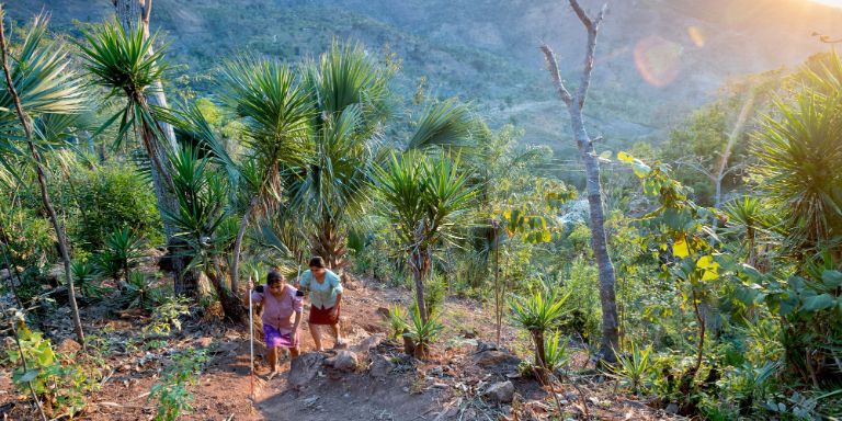 Maria Rosario and Eduarda Aldana Garcia (both are blind) walking up the way from their home to the street.