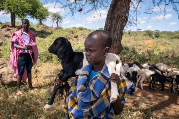 Ein Junge in Massai-Tracht trägt ein Schaf auf seinen Schultern.